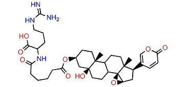 3-(N-Adipoyl argininyl)-marinobufagin